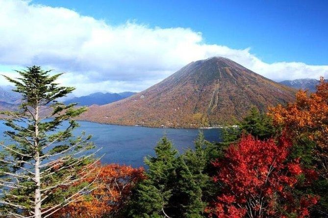 Nikko Full-Day Private Tour With Government-Licensed Guide - Additional Information