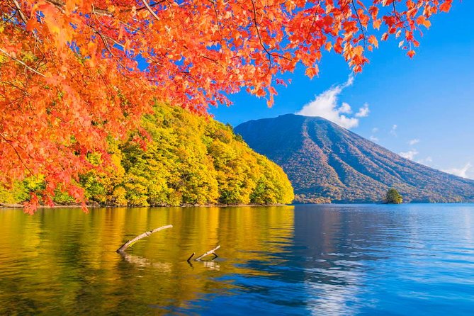 Nikko Full-Day Private Walking Tour With Government-Licensed Guide (Tokyo Dep.) - Traveler Tips