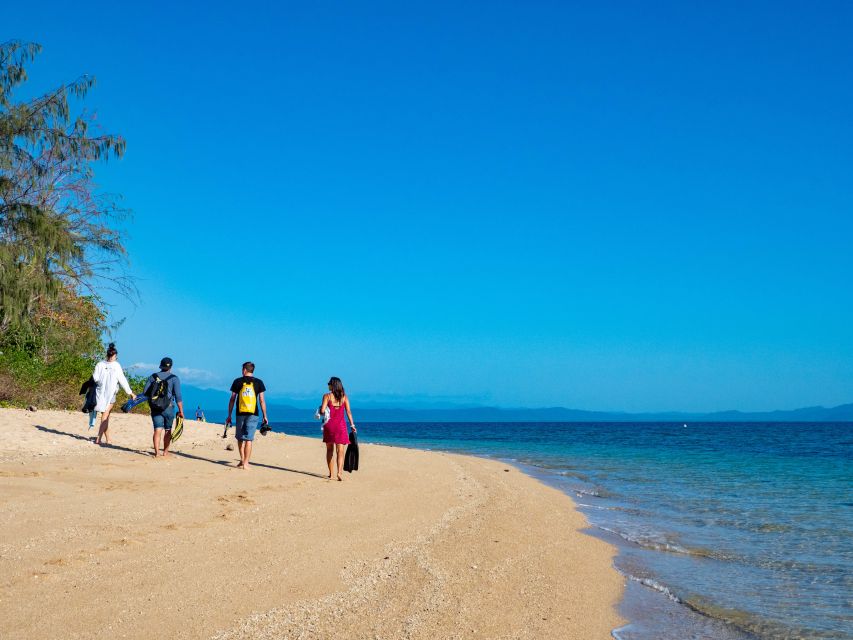 Port Douglas: Low Isles Glass Bottom Boat & Snorkeling Tour - Duration and Starting Times