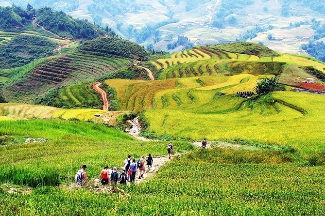 Private 3-Day Trek With Homestay Accommodation and Meals, Sapa  - Hanoi - Cancellation Policy
