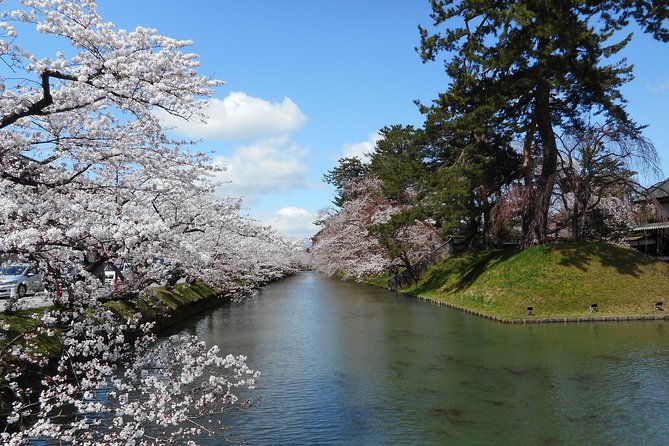 Private Cherry Blossom Tour in Hirosaki With a Local Guide - Price