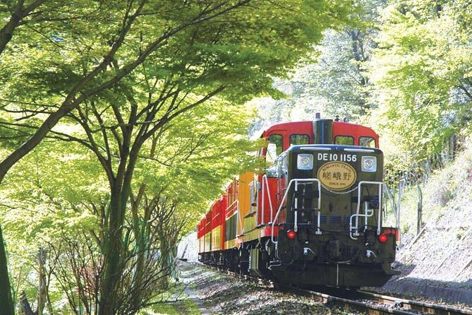 Sagano Romantic Train & Arashiyama, Kiyomizudera, Fushimi Inari Taisha Day Tour - Highlights of the Tour