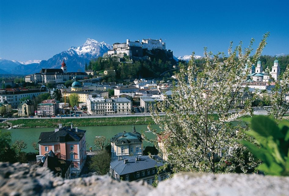 Salzburg: Sound of Music Private Half-Day Tour - Captivating Highlights of the Sound of Music Tour