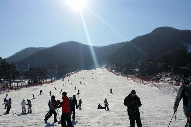 Seoul Ski Tour at Jisan Forest Resort - Additional Information