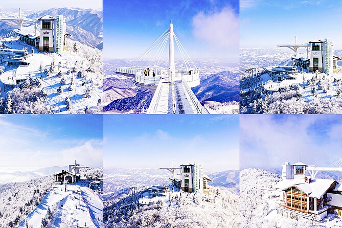 Snow or Ski Day Trip to Yongpyong Resort From Seoul - Additional Information and Requirements