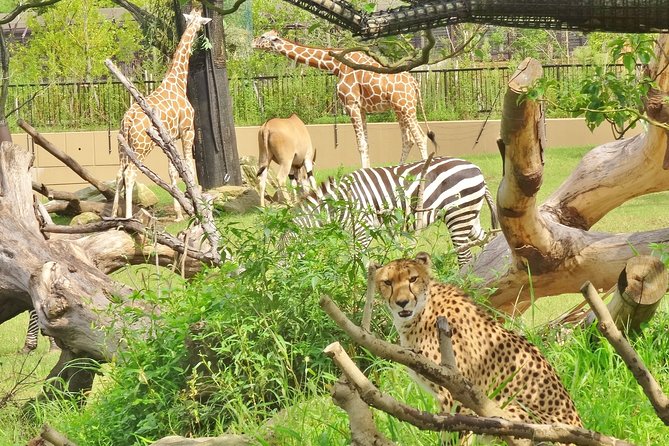Yokohama Zoo Zoorasia Admission Ticket - Traveler Photos