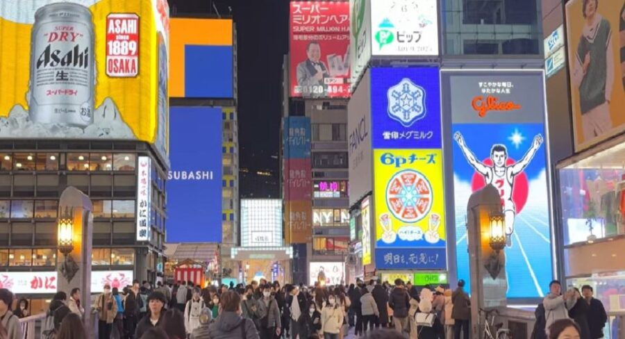 4 Hours Osaka Half-Day Drive Cruising City Tour. (1 Pax Up) - Good To Know