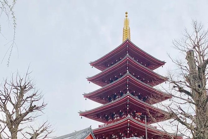 1 Day Private Charter Tokyo Sight Seeing Tour With Guide - Additional Information