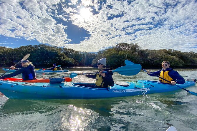 Adelaide Dolphin Sanctuary and Ships Graveyard Kayak Tour - Viator Information and Terms