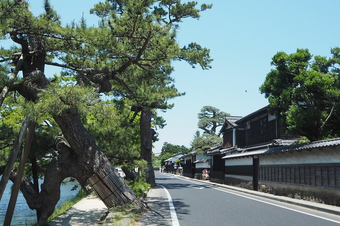 An E-Bike Cycling Tour of Matsue That Will Add to Your Enjoyment of the City - Uncover the Hidden Gems and Insider Secrets of Matsue