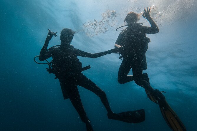 Discover SCUBA Diving in Beautiful Unawatuna Bay - Choosing the Right SCUBA Diving Tour