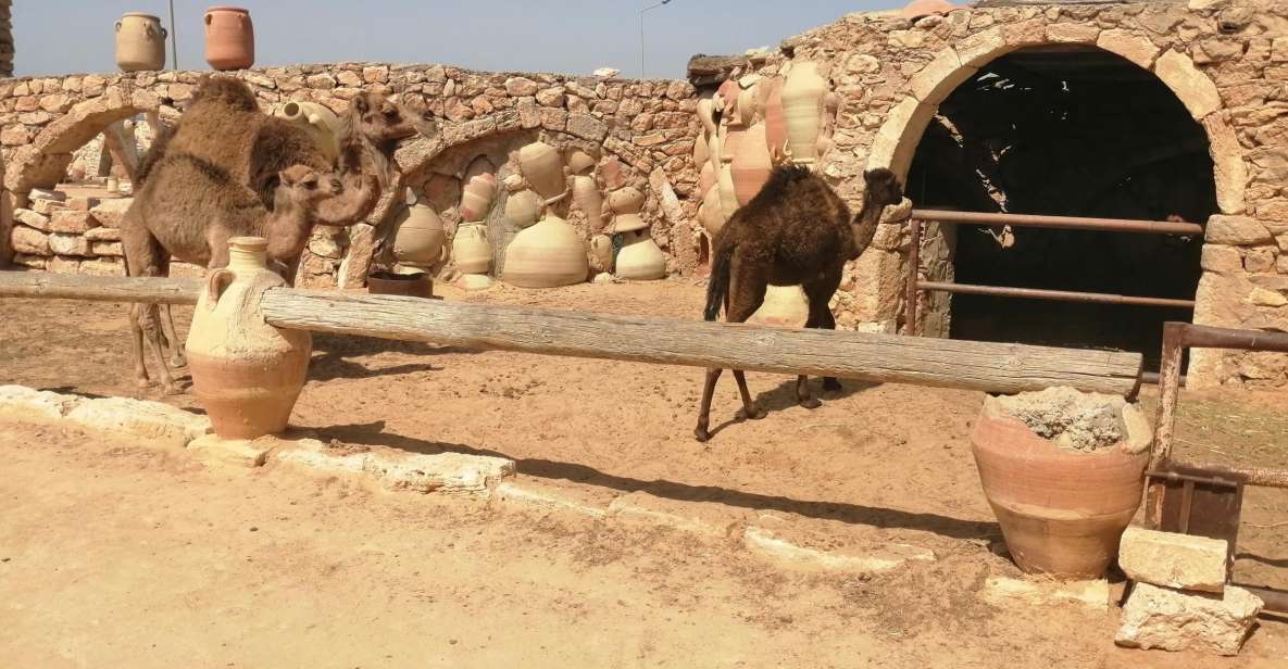Djerba: Pottery Village and Heritage Museum Tour - Frequently Asked Questions