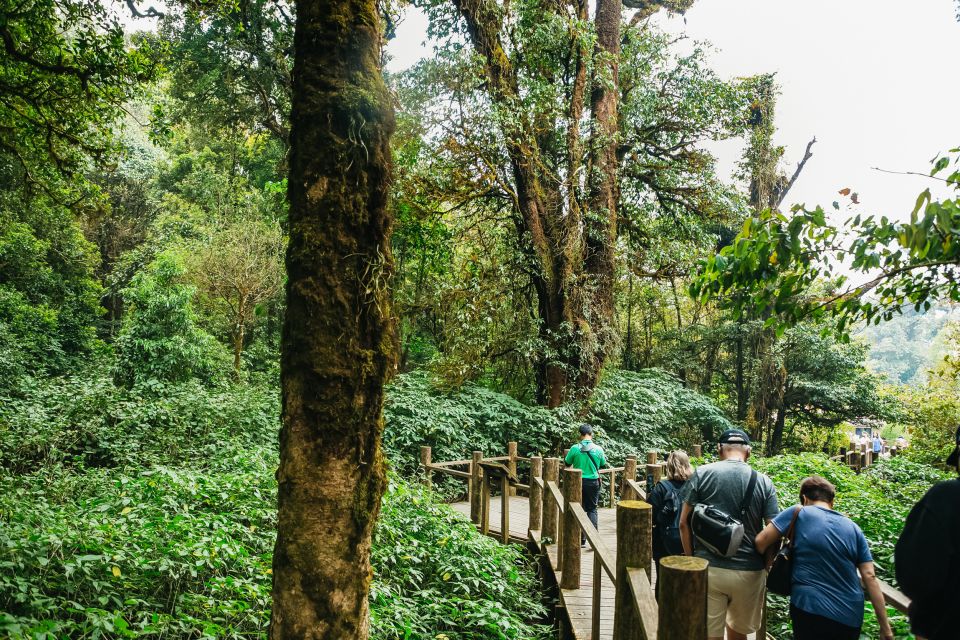 From Chiang Mai: Doi Inthanon National Park Day Trip - Select Participants and Date