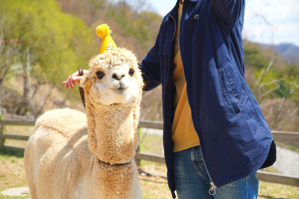 From Seoul: LEGOLAND With Alpaca World Day Tour - Highlights of the Tour