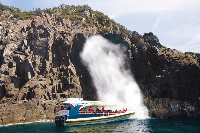 Full-Day Bruny Island Cruises Day Tour From Hobart - Customer Reviews and Booking Process