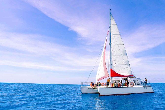 Full-Day Great Barrier Reef Sailing Trip - Highlights of the Reef