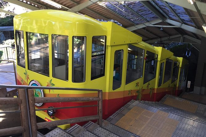 Full Day Hiking Tour at Mt.Takao Including Hot Spring - Traveler Photos
