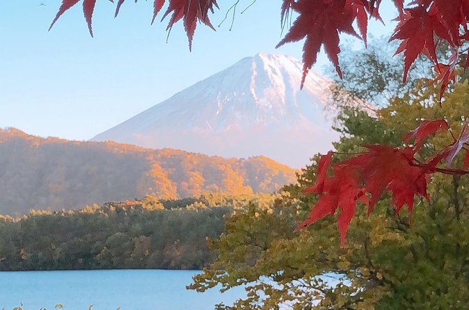 Full Day Private Fuji Tour With English Driver & Muslim Friendly - Additional Information