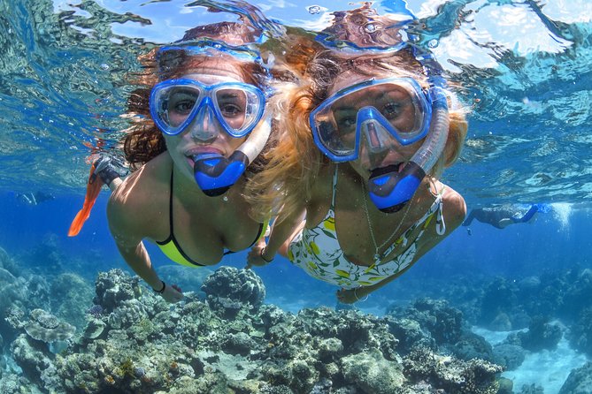 Great Barrier Reef Full-Day Cruise, Scuba Diving & Helicopter  - Cairns & the Tropical North - Cancellation Policy and Reviews
