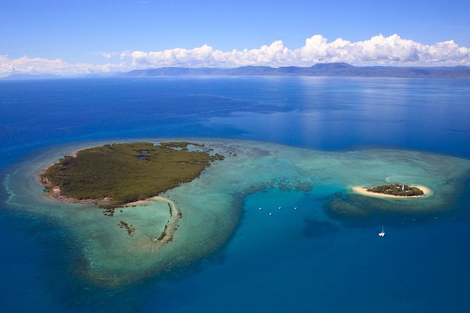 Half Day Low Isles Snorkelling Tour From Port Douglas - Explore the Tiny Islands and Take a Glass-Bottom Boat