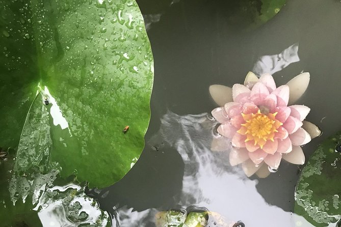 Kyoto: Descending Arashiyama (Private) - Stroller Policy and Storage Information