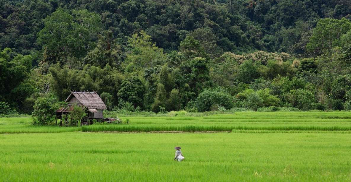 Luang Prabang: Countryside Mountain Bike Tour With Lunch - Meeting Point and Departure Time