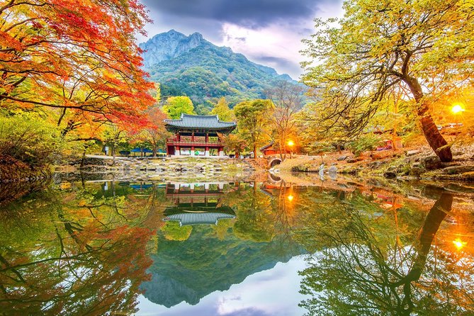 Magnificent Naejangsan National Park Autumn Foliage Tour From Seoul - Frequently Asked Questions