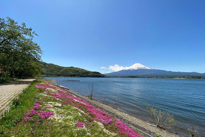 Mt Fuji Full-Day Tour By Car - Traveler Photos and Reviews