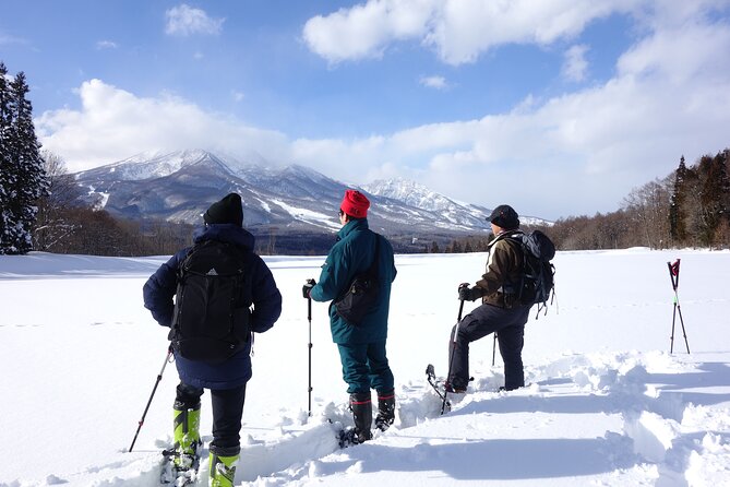Nagano Snowshoe Hiking Tour - Reviews and Price