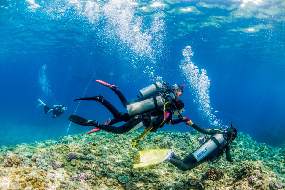 Naha, Okinawa: Kerama Islands Full-Day Intro-Diving Trip - Review Summary