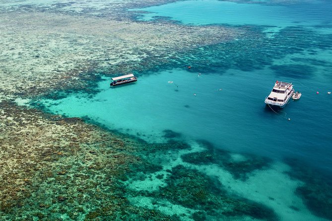 Ocean Freedom Great Barrier Reef Personal Luxury Snorkel & Dive Cruise, Cairns - Customer Reviews and Experiences