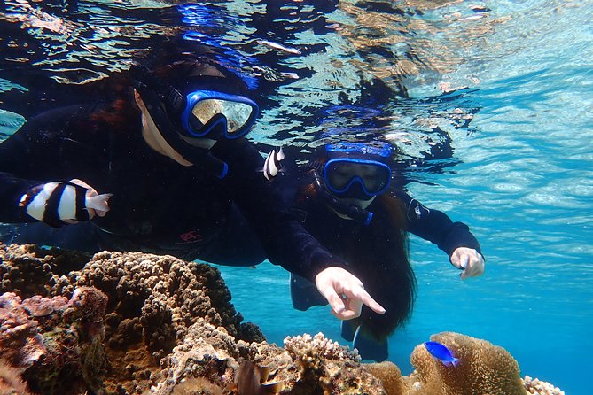 [Okinawa Miyako] [1 Day] Pumpkin Limestone Caving & Sea Turtle Snorkeling - Cancellation Policy and Pricing