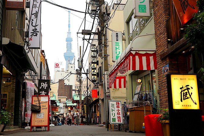 Private Customizable Walking Tour of Tokyo - Meeting and Pickup Details