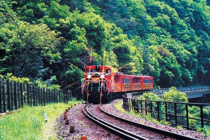 Sagano Romantic Train & Arashiyama, Kiyomizudera, Fushimi Inari Taisha Day Tour - Feedback and Suggestions