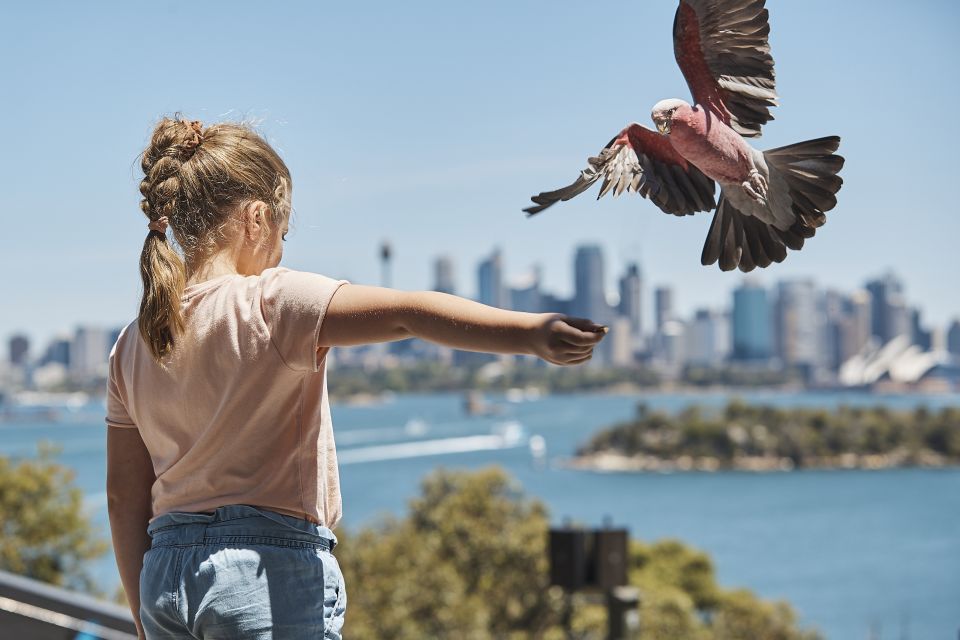 Sydney: Taronga Zoo Ticket With Return Ferry - Booking Details