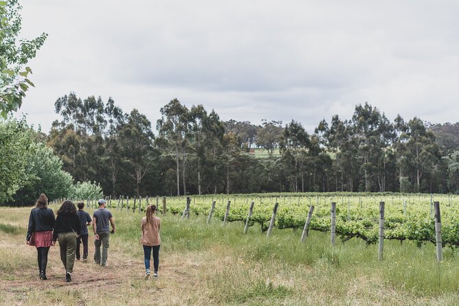 The All About Margaret River Tour: Wine, Coffee, Lunch and Forest - Exploring Margaret Rivers Forests