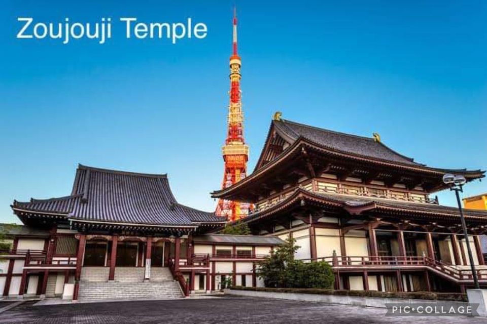Tokyo: Private Full Day Sightseeing Tour - Overall Experience