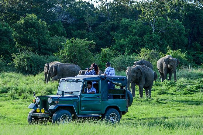 Udawalawe Safari Day Trip From Galle/Unawatuna/Ahangama/Weligama - Highlights of the Safari Experience
