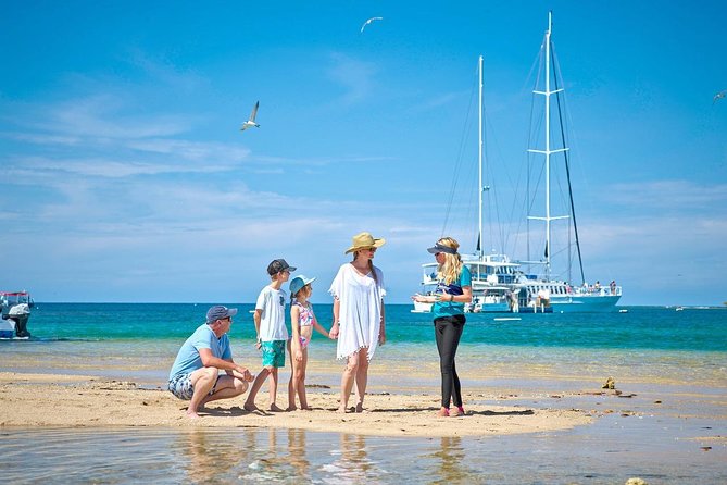 Wavedancer Low Isles Great Barrier Reef Sailing Cruise From Port Douglas - Reviews