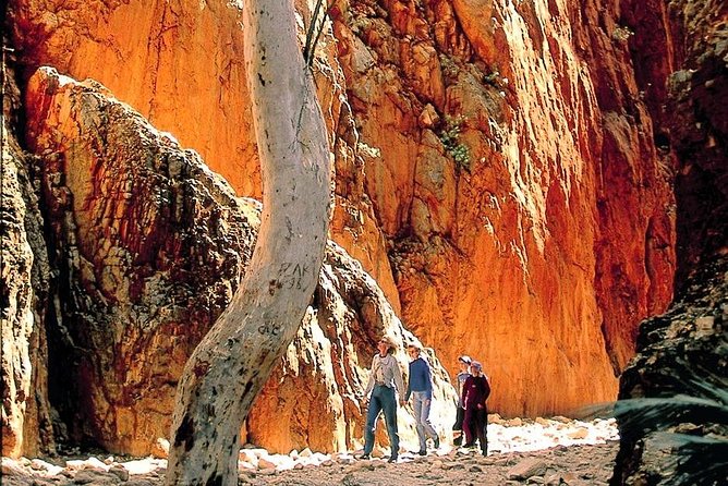 West Macdonnell Ranges Day Trip From Alice Springs - Frequently Asked Questions