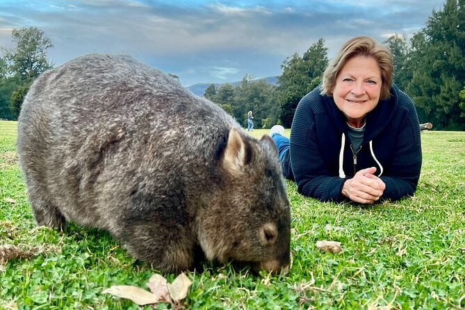 Wild Wombat and Kangaroo Day Tour - Tour Highlights and Inclusions