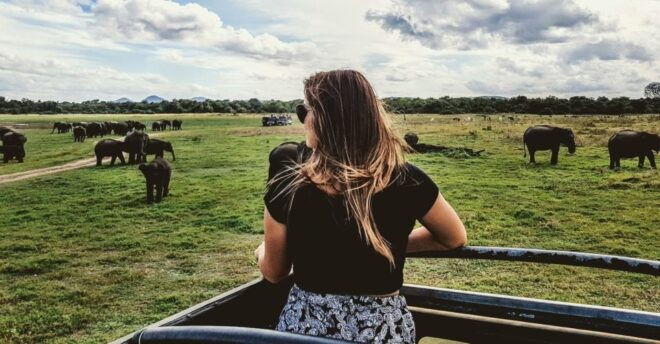 Bentota: Yala National Park Safari Jeep Tour in a 4x4 - Additional Information