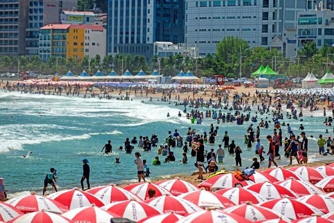 Busan Private Full-Day Sightseeing Tour With Custom Itinerary - Traveler Photos