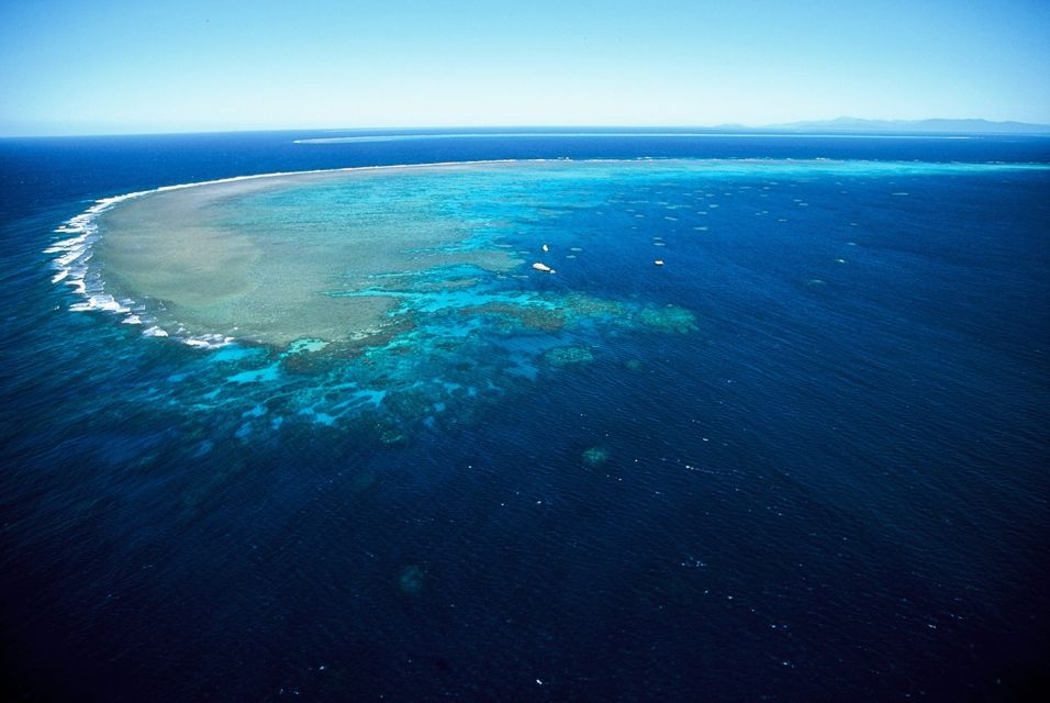 Cairns: Outer Great Barrier Reef Full-Day Tour With Lunch - Frequently Asked Questions