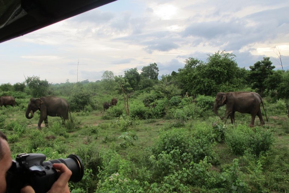 From Ella: All Inclusive Udawalawe National Park Safari Tour - Location Details