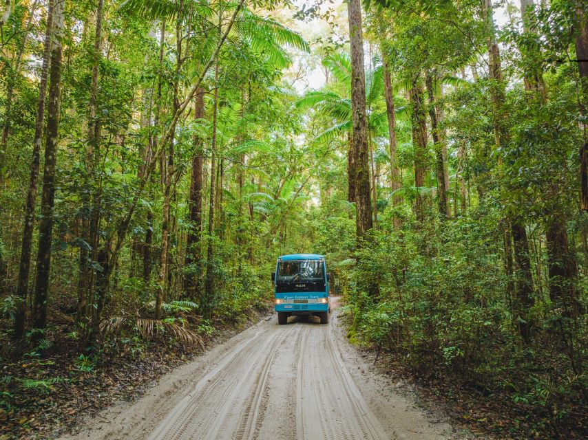 From Hervey Bay: K'gari, Fraser Island Full-Day Coach Tour - Logistics and Meeting Point