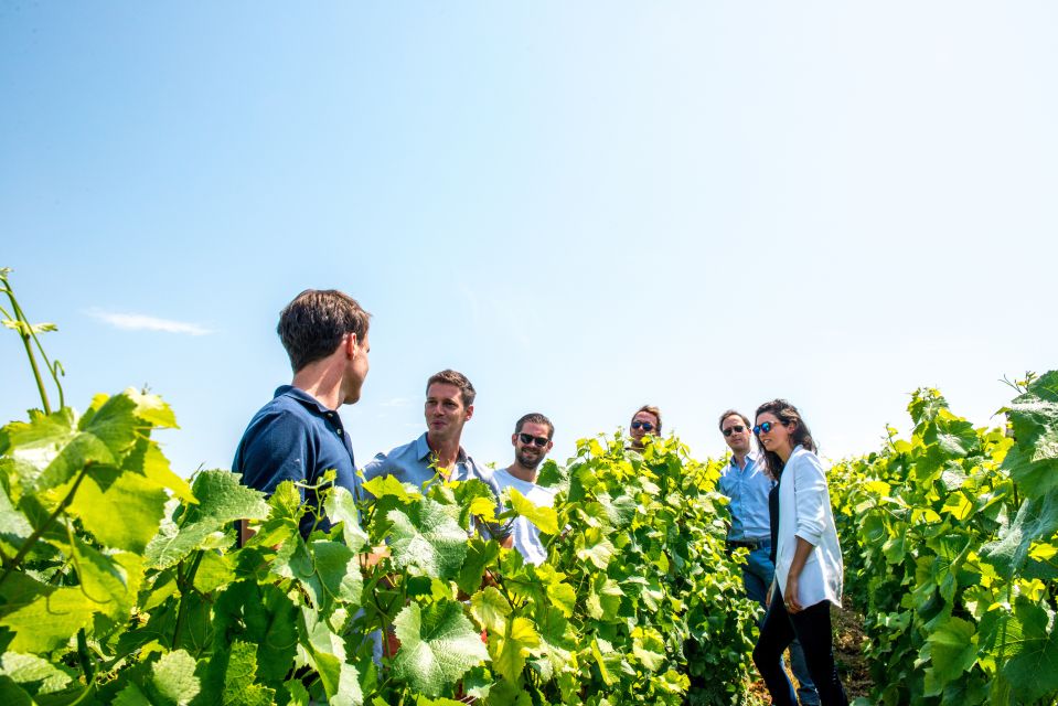From Reims: Pommery Champagne Morning Tour & Tastings - Frequently Asked Questions