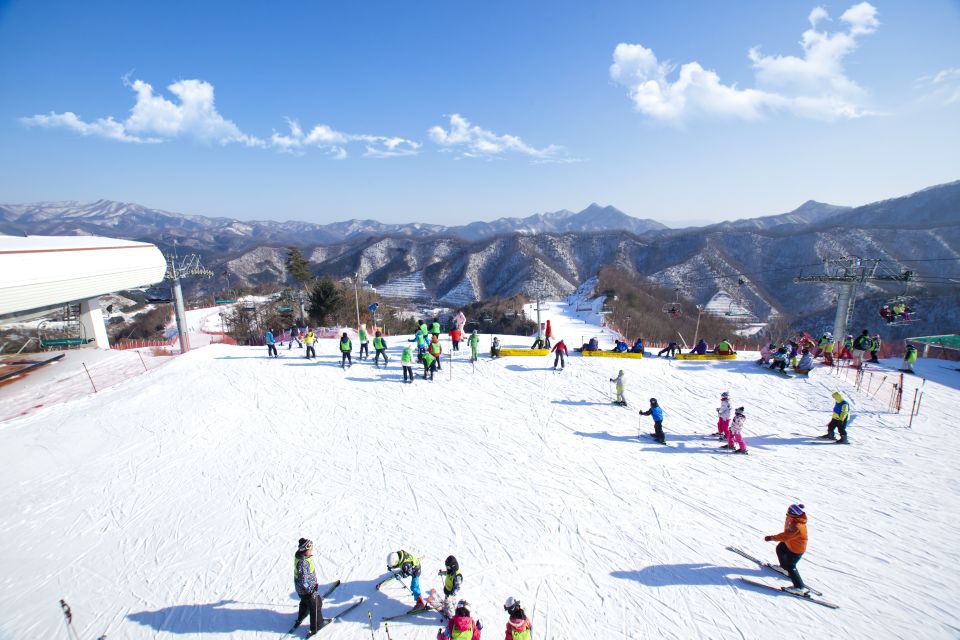 From Seoul: Elysian Gangchon Ski Resort Winter Fun Day Tour - Customer Reviews