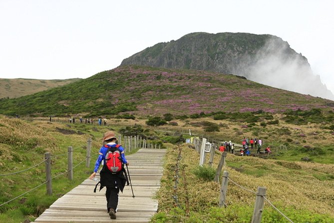 Full-Day Customizable Private Essential Jeju Island Tour for South Course - Frequently Asked Questions