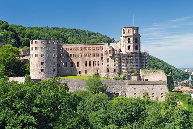 Heidelberg Half-Day Trip From Frankfurt - Visitor Feedback and Reviews